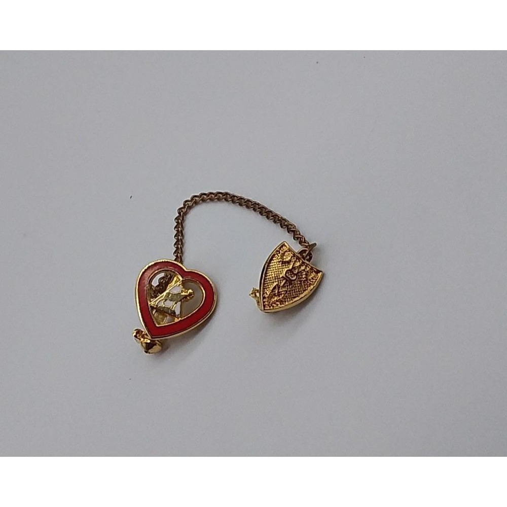 Moose Fraternal Organization Pin with WOTM Shield and Moose Head